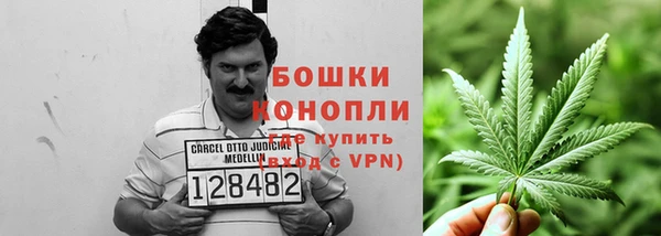 PSILOCYBIN Снежногорск