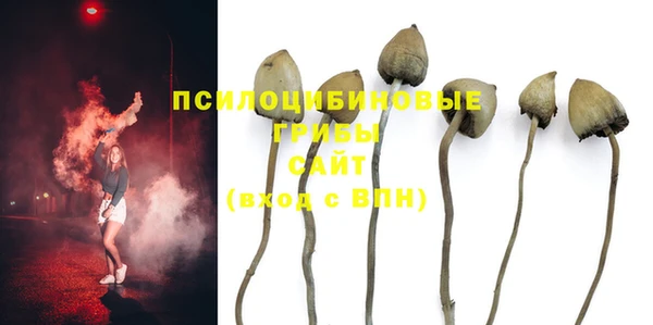 марихуана Богородицк