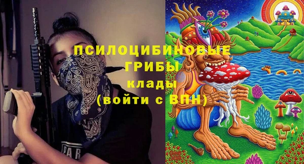 a pvp Богданович