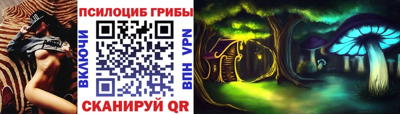 Галлюциногенные грибы Psilocybe  мега сайт  Валуйки 